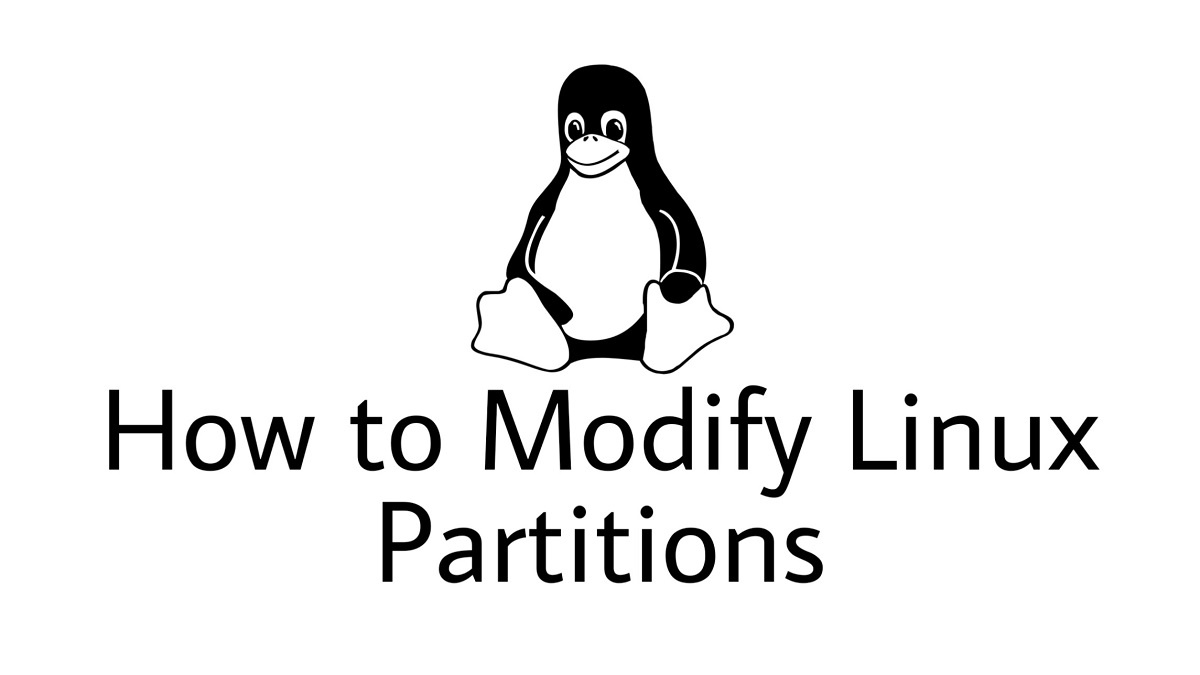 How to resize Linux partition